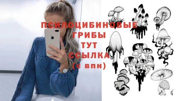 сатива Армянск